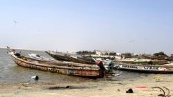 L'industrie sénégalaise de la pêche en eaux troubles