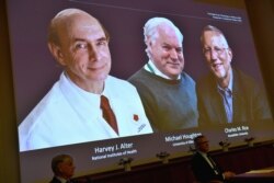 Harvey J. Alter, Michael Houghton and Charles M. Rice, are seen on a screen as they are announced as the winners of the 2020 Nobel Prize in Physiology or Medicine, in Stockholm, Oct. 5, 2020. (C. Bresciani/TT News Agency/via Reuters)