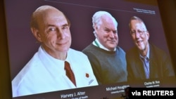Harvey J. Alter, Michael Houghton et Charles M. Rice sur un écran alors qu'ils sont annoncés comme les lauréats du prix Nobel de médecine 2020, à Stockholm, en Suède, le 5 octobre 2020.(C. Bresciani/TT News Agency/via Reuters)