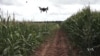 WATCH: Drones Can Help Farmers Grow Healthier and More Abundant Crops