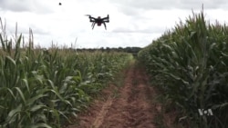 Drones Can Help Farmers Grow Healthier and More Abundant Crops