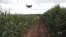 WATCH: Drones Can Help Farmers Grow Healthier and More Abundant Crops