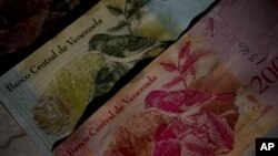 This Oct. 20, 2018 photo shows Bolivar bank notes decorated with images of Venezuela's red siskin bird, as part of rescue program in Caracas, Venezuela. 