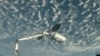 Estación Espacial recibe nave de Orbital ATK con suministros