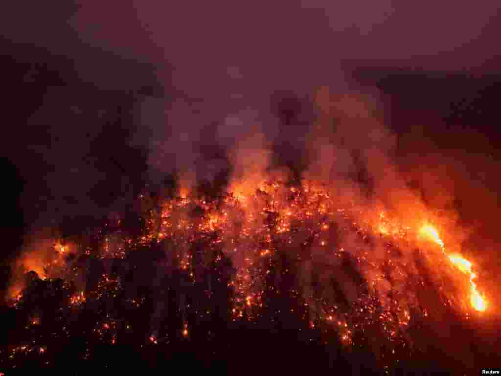 Vista de la devastación causada por un incendio forestal en la Amazonía en un área de la carretera Transamazónica, Brasil. (REUTERS)