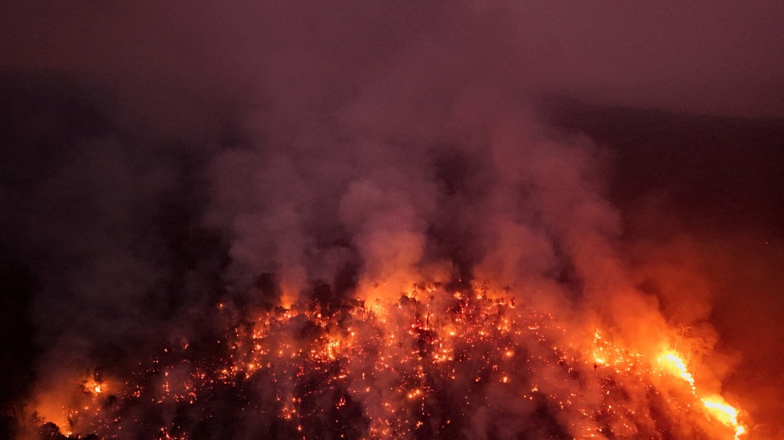 Wilayah hutan Amazon yang terbakar di area Jalan Raya Trans-Amazonian BR230 di Labrea, Amazonas, Brasil, dalam doto yang diambil pada 4 September 2024. (Foto: Reuters/Bruno Kelly)