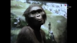 "Լյուսին" 3 միլիոն 2ՕՕ հազար 4Օ տարեկան է