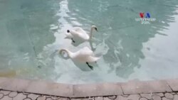 Տարեցները սպասում են կենսաթոշակի բարձրացման․ շատերը համբերատար են, ոմանք՝ արդեն դժգոհ