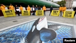 Greenpeace activists hold a protest against the "whale prison," a facility in Primorsky Region where nearly 100 whales including orcas and beluga whales are held in cages, in Vladivostok, Russia, May 13, 2019.