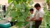 Saving Water, Growing Food in the Saudi Desert