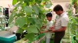 Saving Water, Growing Food in the Saudi Desert