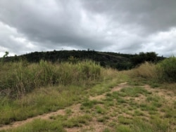 FILE - A view of a pathway near the Colombian border which residents say is used by guerrillas to reach a local village, outside Puerto Ayacucho, Amazonas, Venezuela Dec. 1, 2020.