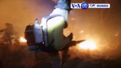 Manchetes Mundo 30 Outubro: Brasil - Incêndio florestal em Goiás combatido por civis e bombeiros