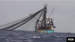 Fishing boat with net