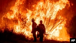 Los bomberos combaten el incendio Kenneth en la zona de West Hills de Los Ángeles, el jueves 9 de enero de 2025. (Foto AP/Ethan Swope)