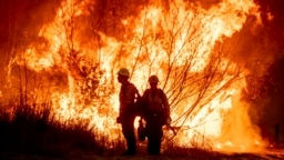 Los bomberos combaten el incendio Kenneth en la zona de West Hills de Los Ángeles, el jueves 9 de enero de 2025. (Foto AP/Ethan Swope)