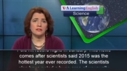 Sea Levels Rising at Fastest Rate in 3,000 years