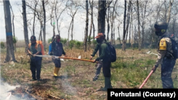 Perhutani Randublatung, Jawa Tengah menggelar pelatihan dan simulasi penanggulangan kebakaran hutan, 23 September 2020. (Foto: Courtesy/Perhutani)