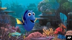 Karakter Dory yang populer dalam "Finding Nemo" akan mendapat kisahnya sendiri dalam sekuel film "Finding Dory." (AP/Disney Pixar)