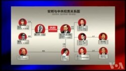 媒体观察：安邦既倒殃及“改开”？