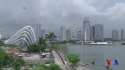 Xalqaro hayot - 2-fevral, 2018-yil