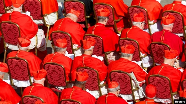Un grupo de cardenales participan de una ceremonia presidida por el papa Francisco en la plaza San Pedro del Vaticano, este sábado 30 de octubre de 2023.