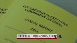 VOA 专访：CECC年度报告称中国人权无改善