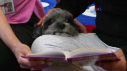 Perros terapéuticos ayudan a niños a leer