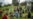 16x9 Image
