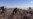 US Shoots Down Pro-regime Drone that Fired Upon Coalition Forces in Syria