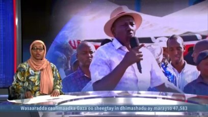 Ruto oo bixiyey amar quseeya Soomaalida