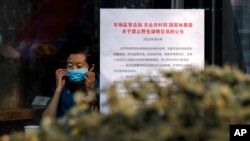 A woman puts on a mask near a notice board that reads "Bans on wild animals trading following the coronavirus outbreak" at a cafe in Beijing, Feb. 10, 2020.
