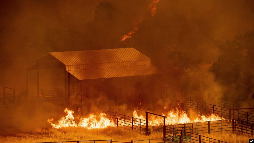 Las llamas rodean una construcción en Guinda, California, el domingo 1 de julio de 2018. Se ordenaron evacuaciones cuando vientos cálidos y secos alimentaron un incendio forestal descontrolado el domingo en las zonas rurales del norte de California, enviando una corriente de humo millas (120 kilómetros) al sur en el área de la Bahía de San Francisco. (AP Photo / Noah Berger)
