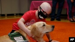 Children's Hospital patient Draegan Crabb, age nine, pets a therapy dog following an announcement that The Children's Hospital at OU Medicine will be getting another therapy dog to add to their team, July 22, 2019, in Oklahoma City.