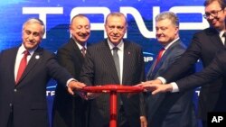 Turkey's President Recep Tayyip Erdogan, center, attends the opening ceremony of Trans-Anatolian Natural Gas Pipeline (TANAP), a key pipeline that will carry natural gas from Azerbaijan's gas fields to Turkish markets and eventually to Europe, in Eskisehir, northwestern Turkey, June 12, 2018.