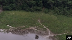 Un éléphant dans une clairière dans la forêt tropicale de la réserve de Lope, au Gabon, 4 juillet 2001.