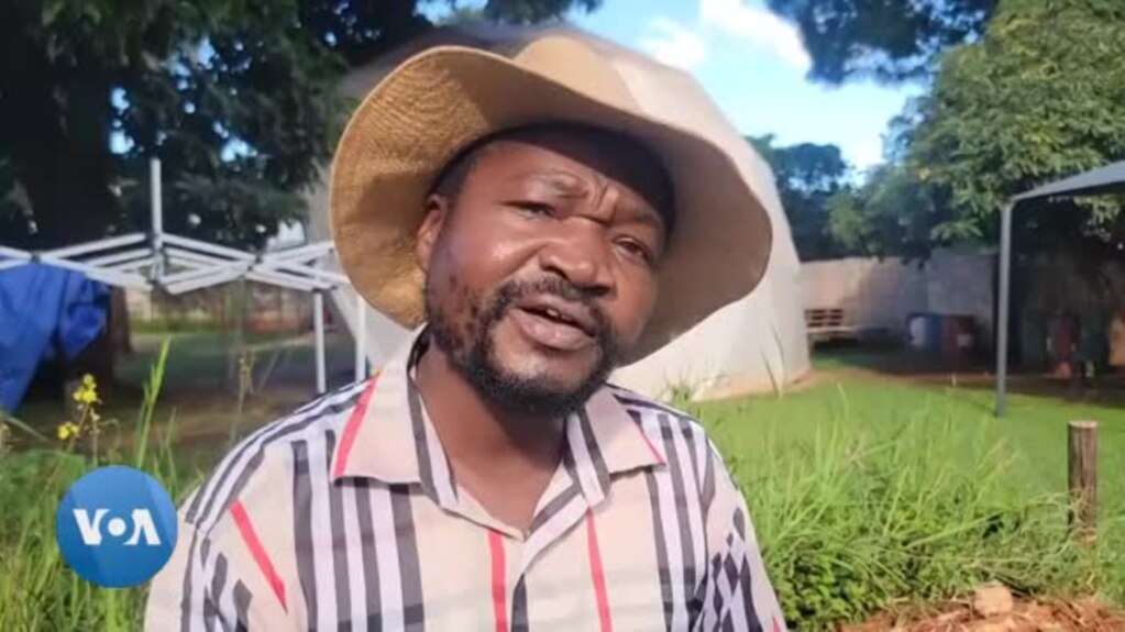 Mutori weNhau Watmore Makokoba Otaura Maonero Ake paMashoko Akaturwa naVaDonald Trump Chipiri Usiku