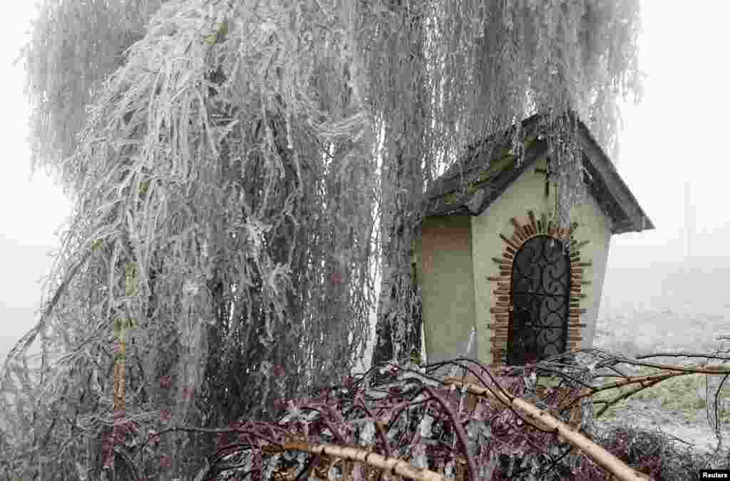 Ice-covered leafs of a tree hang over a roadside shrine near Kottes in northern Austria. Freezing fog and rain covered parts of the region with ice, causing blocked roads due to fallen trees and closed schools for security reasons, local media reported.