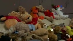 SHORT VIDEO: Սուրբծննդյան հրաշք