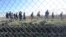 FILE - Migrants walk behind a temporary protective fence at the border between Hungary and Serbia near Morahalom, southeast of Budapest, Hungary, Feb. 22, 2016.