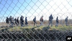 FILE - Migrants walk behind a temporary protective fence at the border between Hungary and Serbia, Feb. 22, 2016.