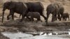 FILE: A herd of African elephants is pictured on Nov. 17, 2012, in Hwange National Park in Zimbabwe. 
