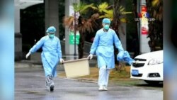 Կորոնավիրուսը հասավ ԱՄՆ