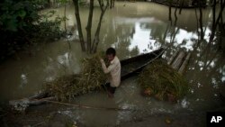 An Indian Mishing tribal man carries grass for his cattle on a boat surrounded by flood waters at Majuli, a river island east of Gauhati, northeastern Assam state, India on July 27, 2016. The members of this indigenous community live in huts raised on poles in this area frequented by floods. 