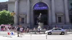 Li New Yorkê Pêşangeha Xwezaya Rengan Vebû