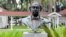 A bust of Robert Smalls, who will soon be the first African American individual with a statue at the South Carolina Statehouse, is displayed at Reconstruction Era National Historic Park on Sept. 12, 2024, in Beaufort, South Carolina.
