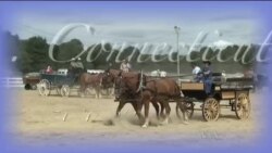 Buenos Días América 