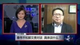 VOA连线：秦伟平和郭文贵对谈，具体谈什么？