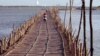 Cambodians ride across a Mekong bamboo bridge in Kom pong Cham, Cambodia Saturday, Dec. 20, 2014. The bridge is constructed every dry season for locals to travel over. The bridge is taken down before the wet session comes to prevent it being washed away. 