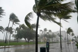 Ураган в Маямі, Флорида